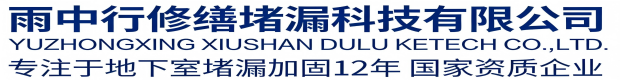 衡水雨中行修缮堵漏科技有限公司